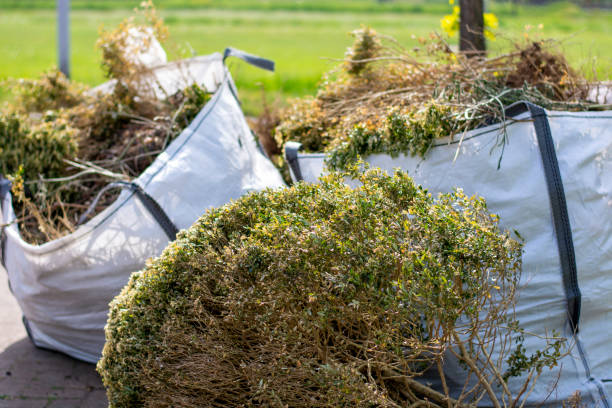 Best Furniture Removal  in Mountainair, NM